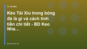 Read more about the article Kèo Tài Xỉu trong bóng đá là gì và cách tính tiền chi tiết – BD Keo Nha Cai